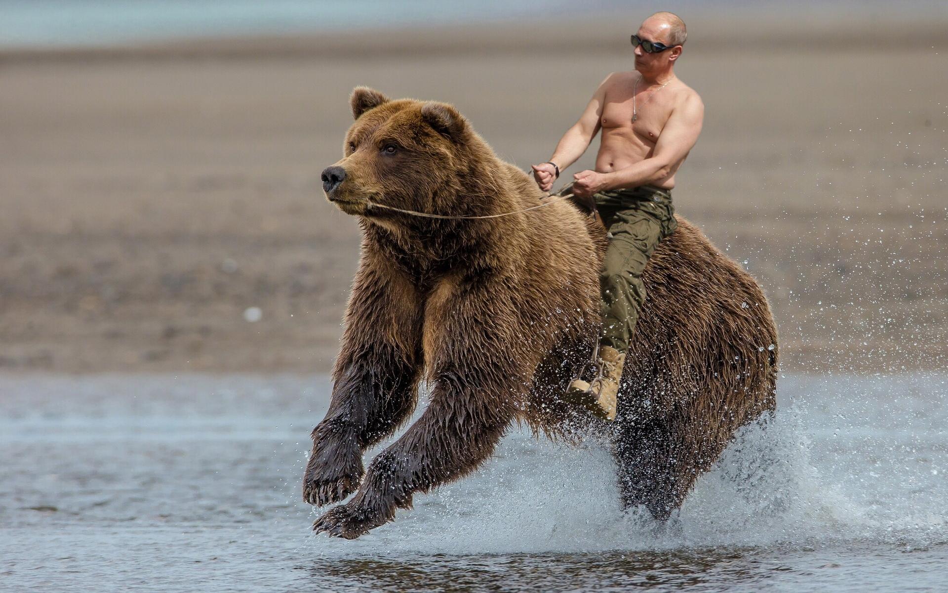 Vladimir putin men brown bears run 533027 1920x1200